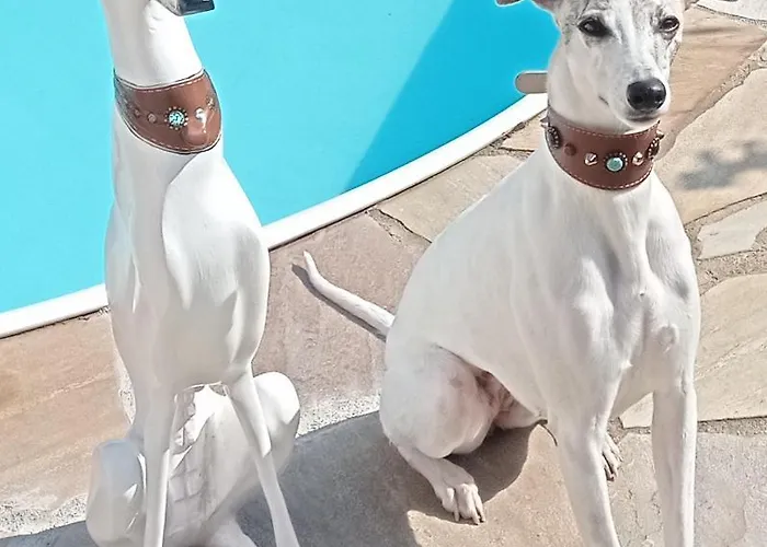 公寓 Usis_ferienwohnung Im Harz 奎德林堡